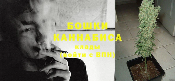 не бодяженный Протвино