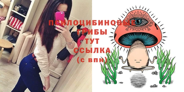 не бодяженный Протвино