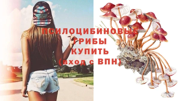 не бодяженный Протвино
