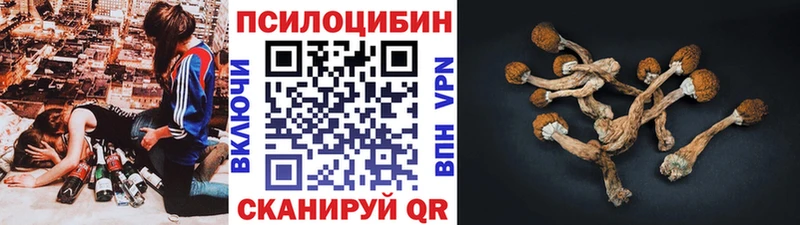 Псилоцибиновые грибы Psilocybe OMG ссылка Кемерово